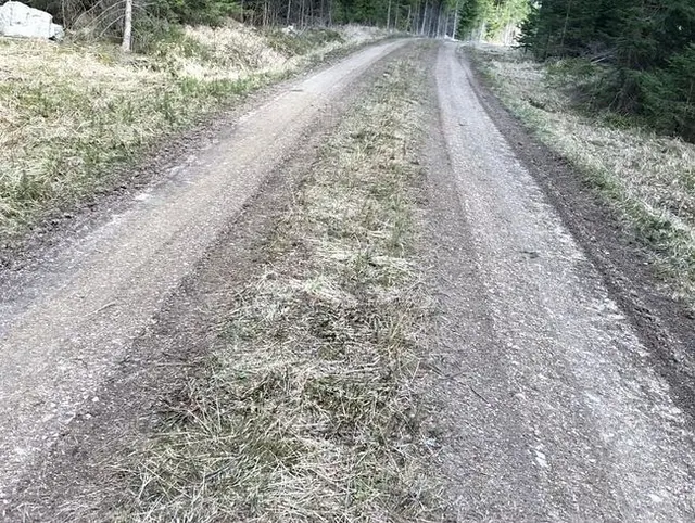 Mutprobe auf Gehweg Jungschwanz reiben
