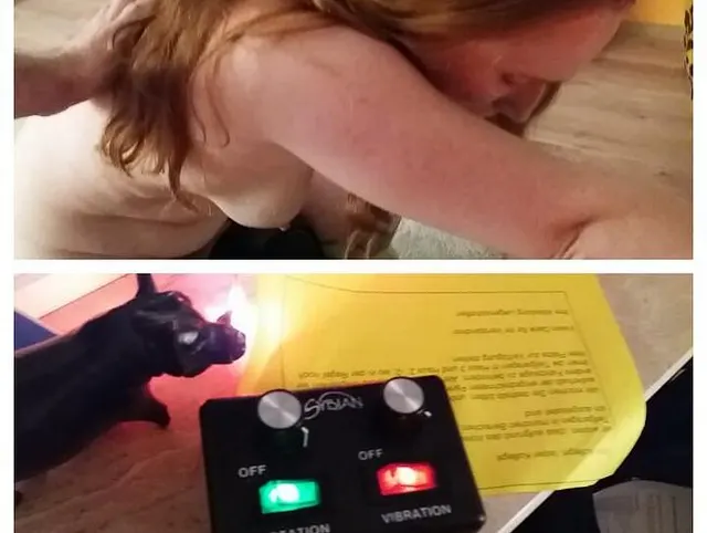 Ich reite den Sybian