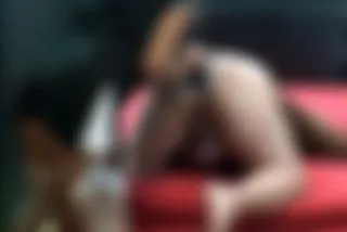 anal hardcore domination