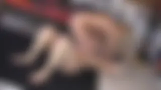 THE CATFIGHT STORY  part 4