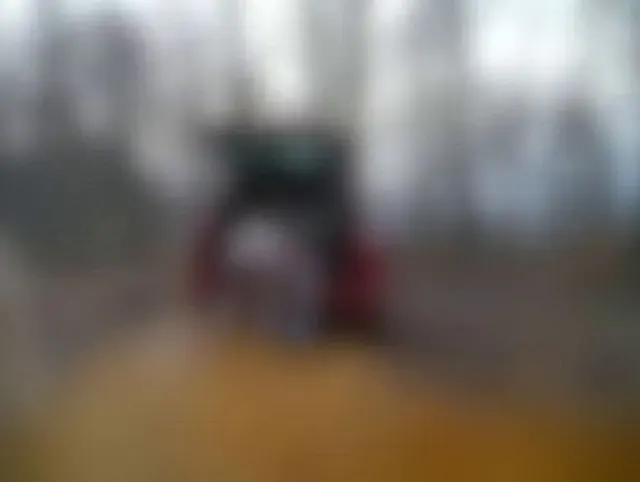 Voyeur im Wald. wir wurden beobachtet und gefilmt