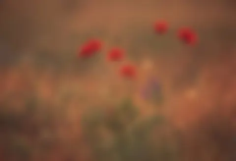 test video 5