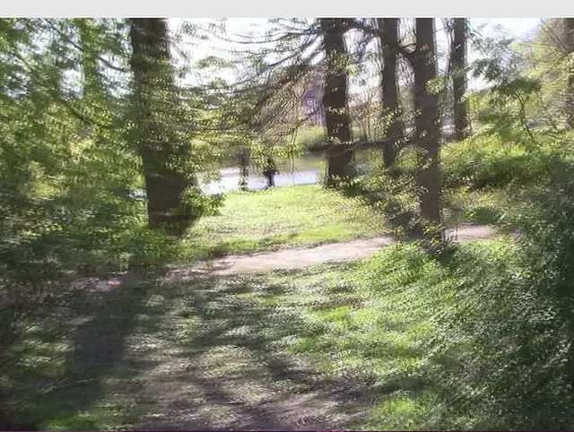 Kurzer Blowjob im Park