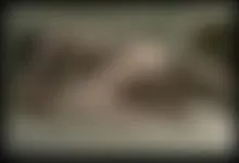 My friend Michelle sucking me and then fucking