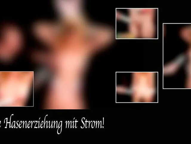 Strenge Hasenerziehung mit Strom!