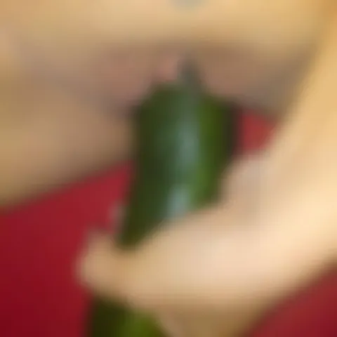 Gurkenfick am Mittag