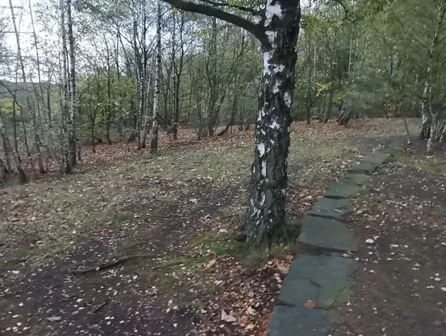 Schnelles Abspritzen im Wald