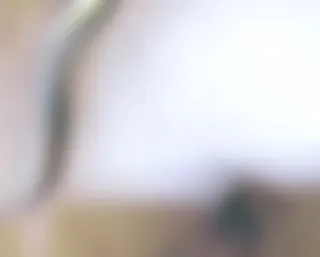 Tief reinschauen in Muschi