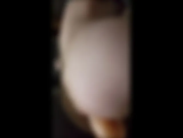 Gefistet von der fickmaschine