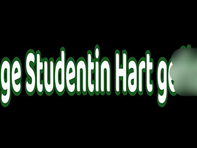 Junges Sklavin hart gefickt und benutzt
