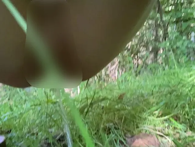 Geiler Wald Piss ( Schöner Sommer Waldpiss, wurde dabei beobachtet)