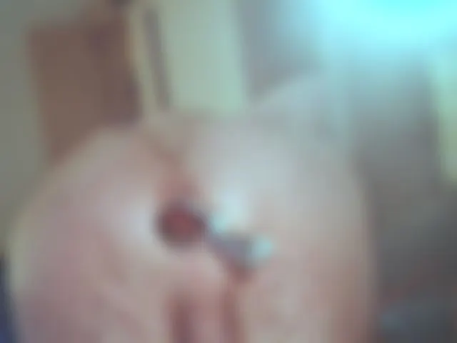 Spekula