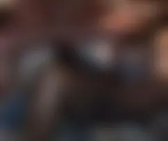 FreddyFuck,s Südafrika-Report Teil 1
