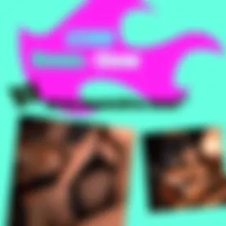 LESBO-SHOW auf der VENUS!