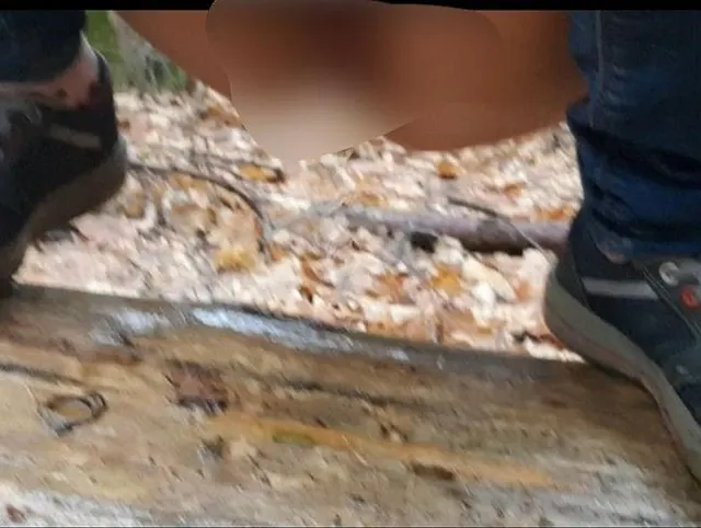 Pissen auf dem Baumstamm