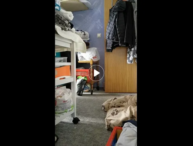 Die binde und ich