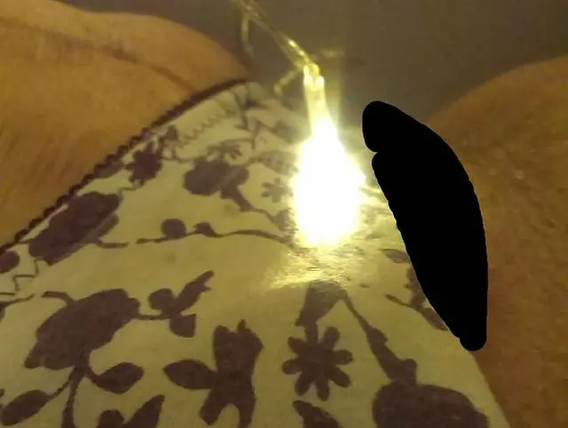 so zeige dir wo ich das sperma hin will