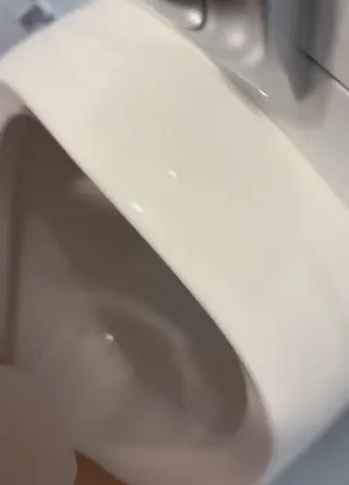 Ich pisse auf einem Pissoir ohne die Türe abzuschließen