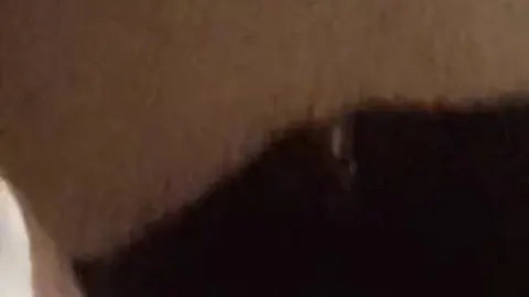 Tagli die alte lustgrotte Hat ihren steppischen champion wieder nicht