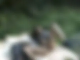 Sex im Freien ( 2)