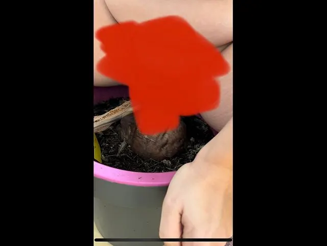 Blumen gießen mal anders