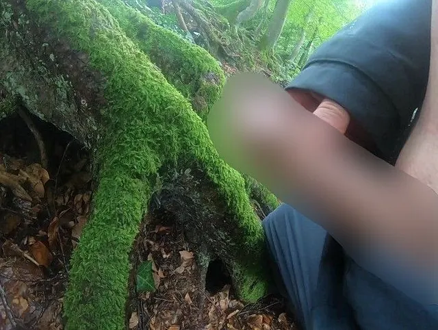 Im Wald abgespritzt