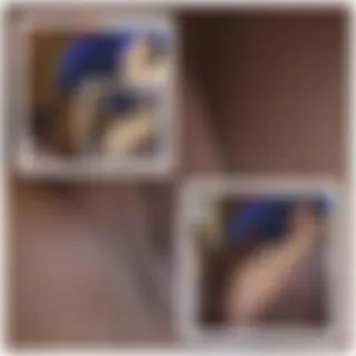 Geschwängerte Rotzgöre mit Zöpfen abgefickt!