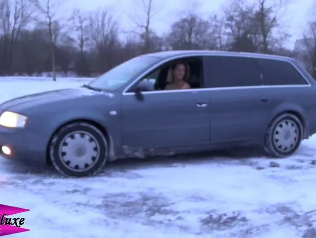 Carstucking - Driving Siva