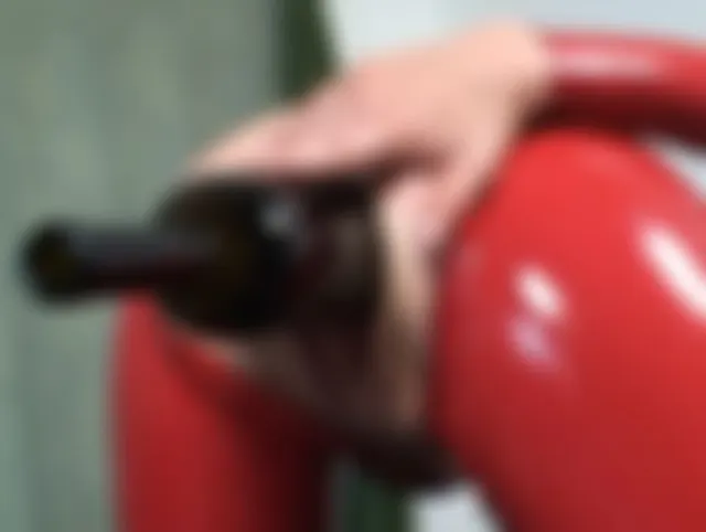 Die Weinflasche in meiner Fotze