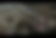 my beautiful and sexy lady fucked by me