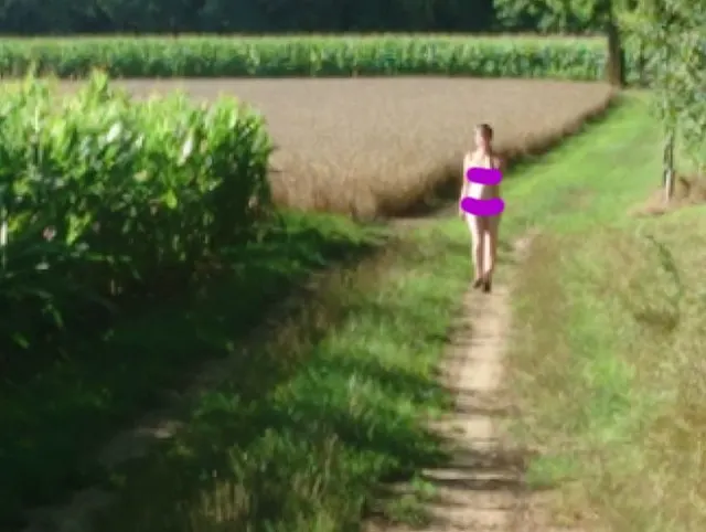 Nackter Waldspaziergang