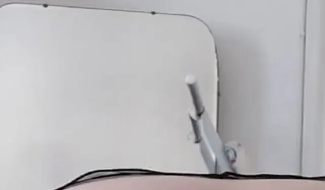 Analplugs