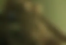 Hot wife on top, really getting off!