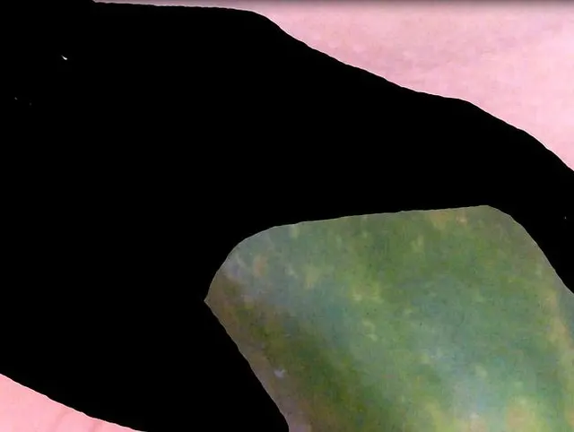 riesen gurke passt nun