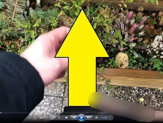 Der Vermieterin auf die Rosen gewichst