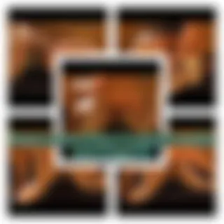 Blasen,Lecken,Ficken,Cumshot,Creampie noch fragen?