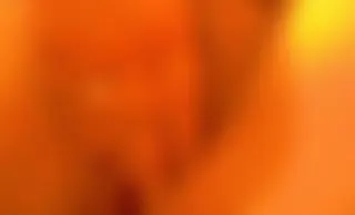 feuchte