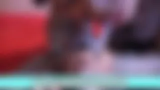 2 KomponentenwixX