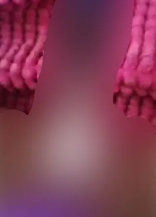 Fucking Maschine my Pussy