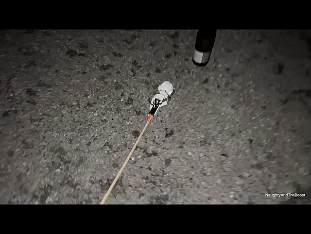 Publicpiss Rakete