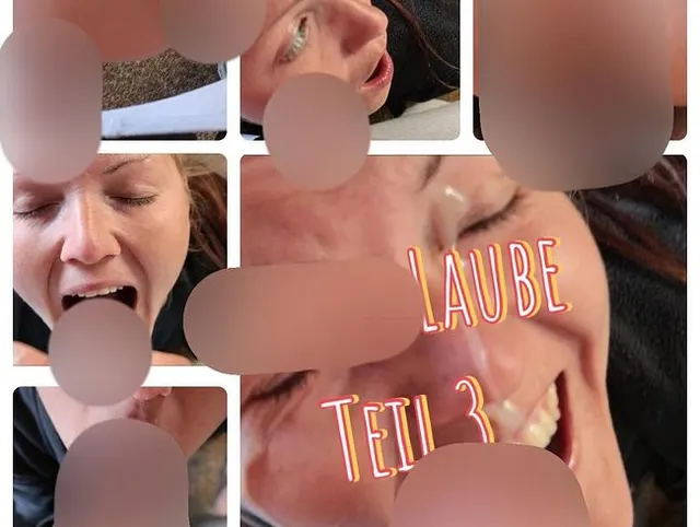 Die Porno-Laube - Dritter Teil