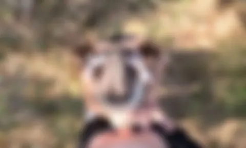 Ich gebe meinem Freund einen Blowjob und er f**kt mich von hinten