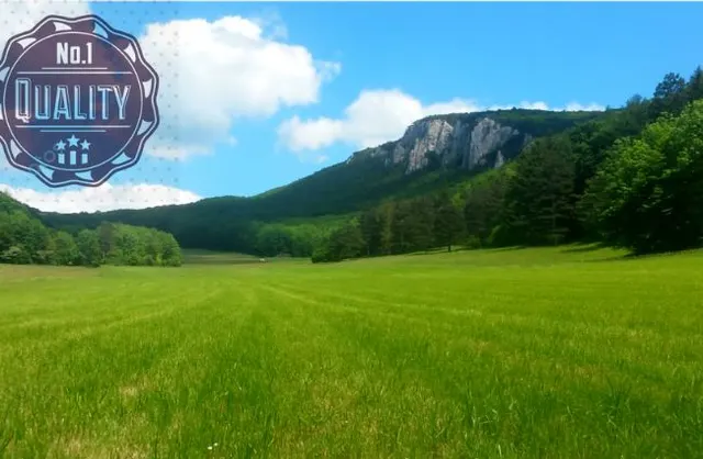 Auf einer Waldlichtung, HART mein Arschloch gedehnt und gefickt! ;)