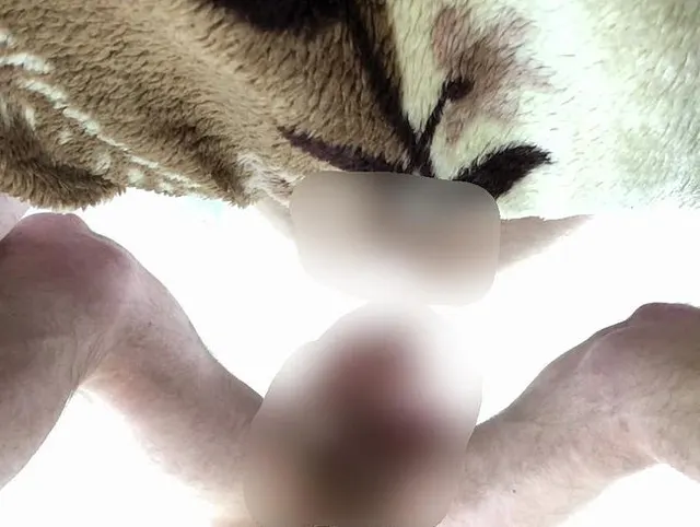 Original Video 130 - Maxi Fickt Bareback - Cam 1 - Teil 4-4