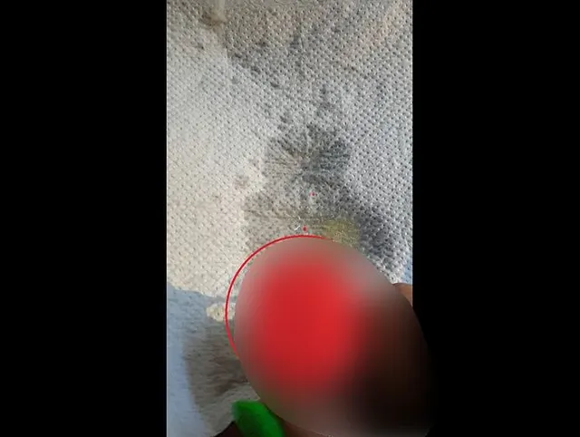 Der Schwanz der Lady wird abgemolken