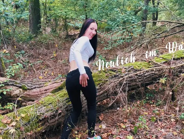 Neulich im Wald