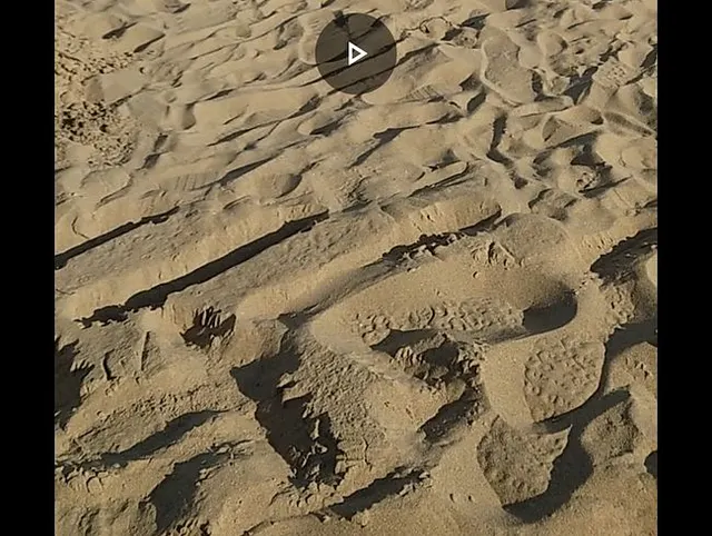 Spontan an den Strand gepisst