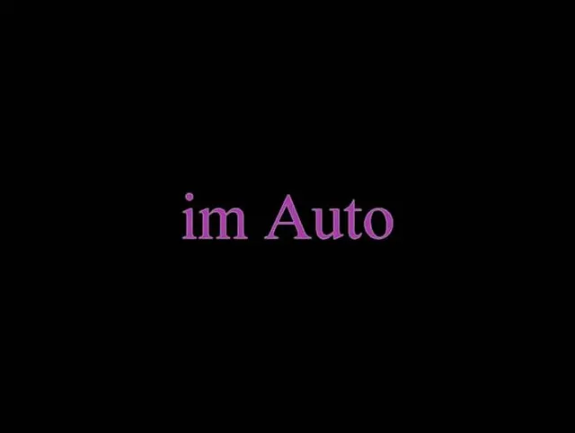 im auto geblasen