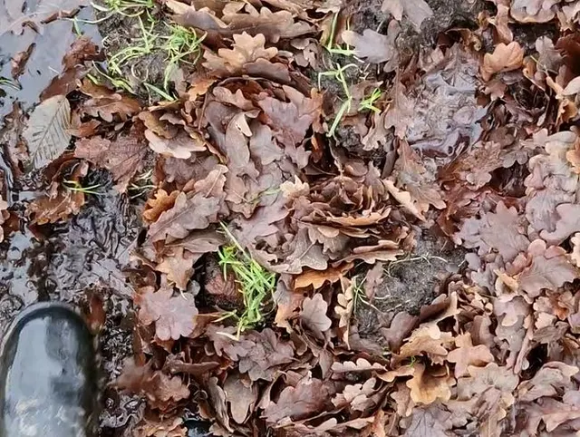 Mit Gummistiefeln durch Matsch