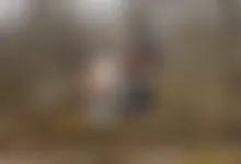 Giggles' Suck and Fuck in the Park